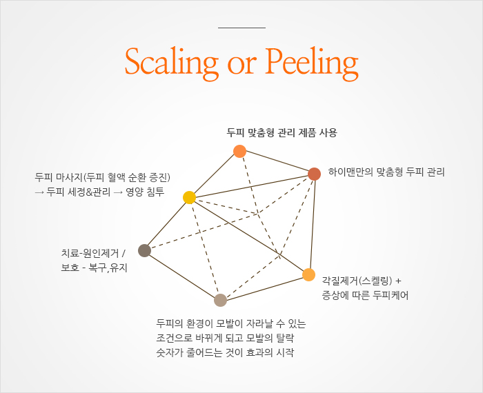 두피 Scaling or Peeling